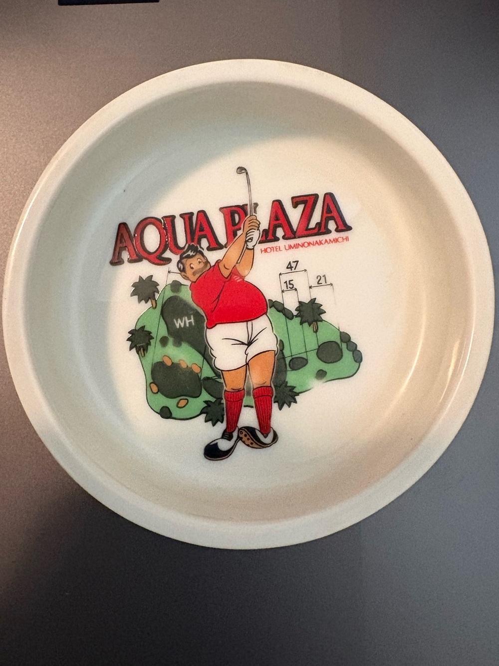 Vintage Aqua Plaza White Ceramic Plate with Red and Green Graphics